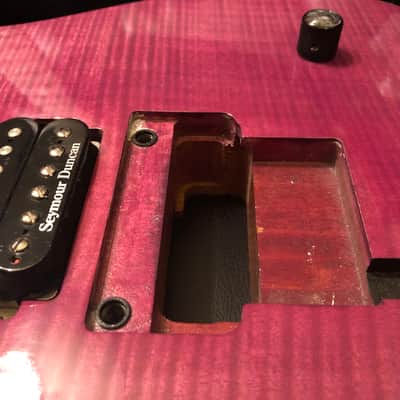 USACG Project -- Purple Tele Thing image 3