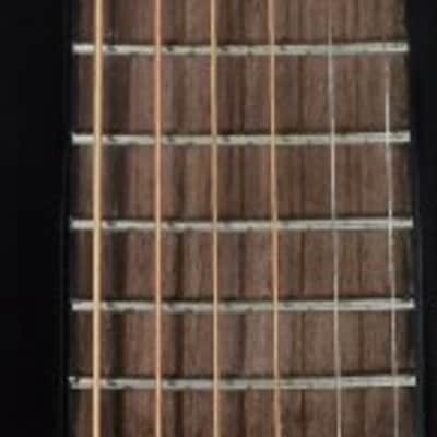 Recording King RPS-JTE-T Justin Townes Earle Single O Acoustic Guitar - B-Stock image 4