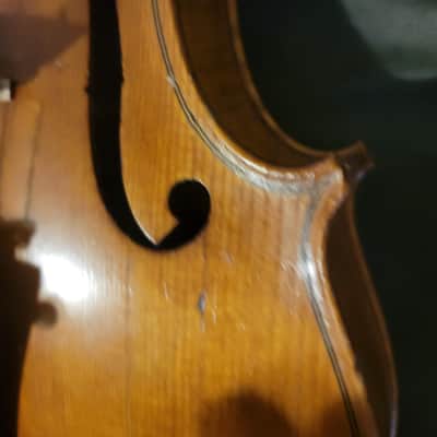 Oscar Wickberg Label Stradivarius Unknown  - Golden brown varnish image 6