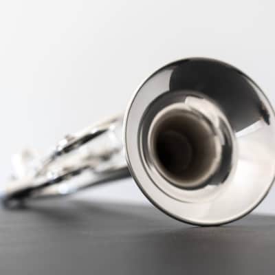 Yamaha YTR-8335GS Xeno Bb Trumpet with Gold Brass Bell (SN 4803xx) image 14