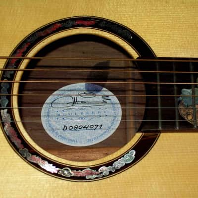 Blueberry Handmade Dreadnought Acoustic Guitar Dragon Motif Built to Order image 15