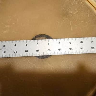 Meinl Tumba Head - 12.5 " image 4