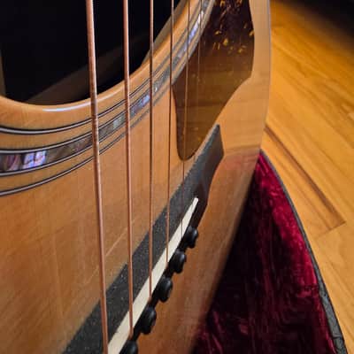 Taylor Legacy 810e 2025 - Present - Natural image 2