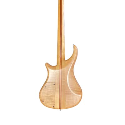 Padulla 5 String Thunder Bass Guitar 1990's Multi-wood image 2