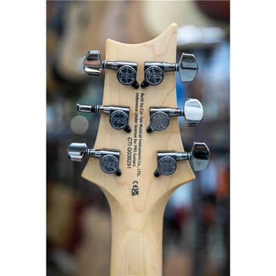 PRS SE Limited Edition Swamp Ash CE24 Sandblasted Blue image 6