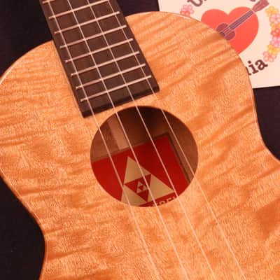 Rebel Curly Mango Gloss Tenor with Ebony Fretboard & Bridge #5151 image 15