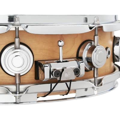 DW DWSMTT2014SC Self-centering Snare Wires 14" image 4