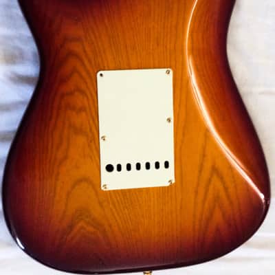 Deviser Y. Momose Masterbuilt Stratocaster image 10