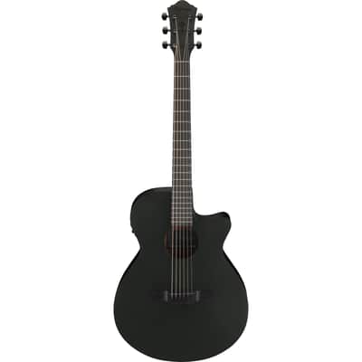 Ibanez AEG621 AEG Acoustic Electric Guitar - Black Out image 2