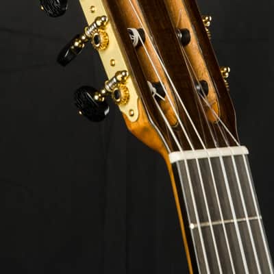 Cordoba Master Series Torres Nylon String -Made in the USA NEW image 13