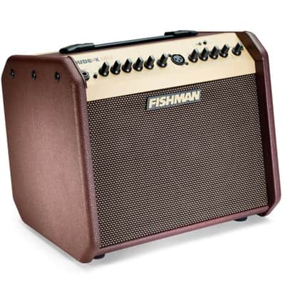 Fishman Loudbox Mini Bluetooth image 2
