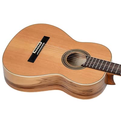 Ortega R20GSNRG Traditional Series Solid Cedar Top Mahogany Neck Nylon 6-String Classical Acoustic Guitar w/Gig Bag image 10