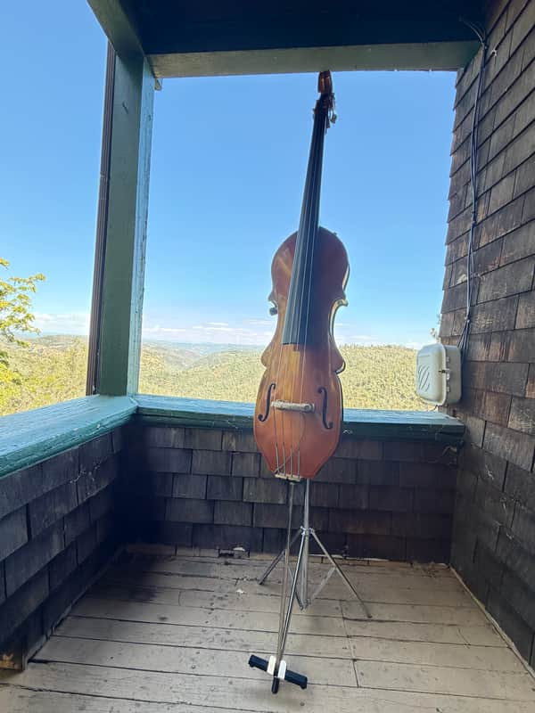 Eminence Removable Neck Bass image 1