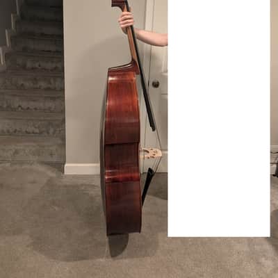 Samuel Shen SB150 5/8 Upright Bass image 2