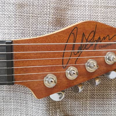 Chapman ML-3 Modern Natural image 4