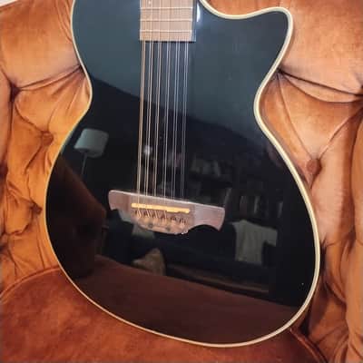 MIK Crafter CT-120 12-String Electro Acoustic Guitar image 3