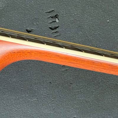 1999 Taylor 814-BCE 25th Anniversary Brazilian Rosewood image 18