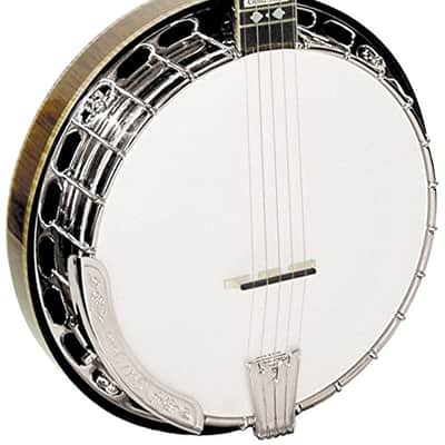 Gold Tone OB-250 Orange Blossom Banjo w/ Case image 2