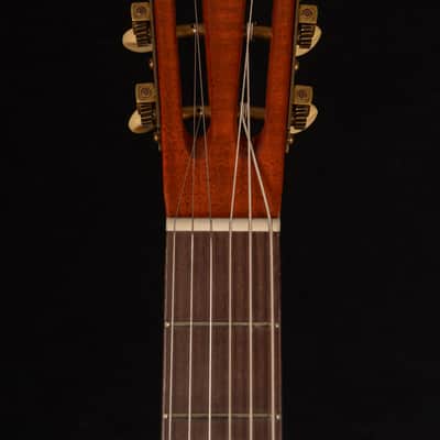 B&G Little Sister Crossroads Cutaway Left Handed Honey Burst P90 image 6