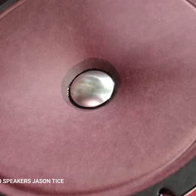 12" ALNICO SPEAKER UTAH BASED HEMPOPOTAMUS HYBRID FAT THICK MEATY 3D TONALITY PMR SPEAKER image 8