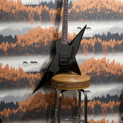 ESP LTD SD-2 Sammy Duet Signature + ESP Hard Case image 2