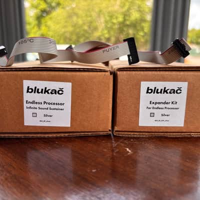 Blukač Endless Processor and Expander Eurorack modules image 8