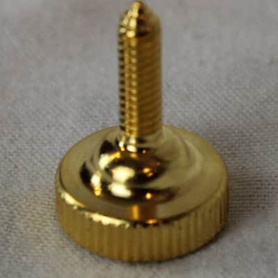 Accordion Repair Part - Golden Grill Screw Large (14mm x 19mm) image 2