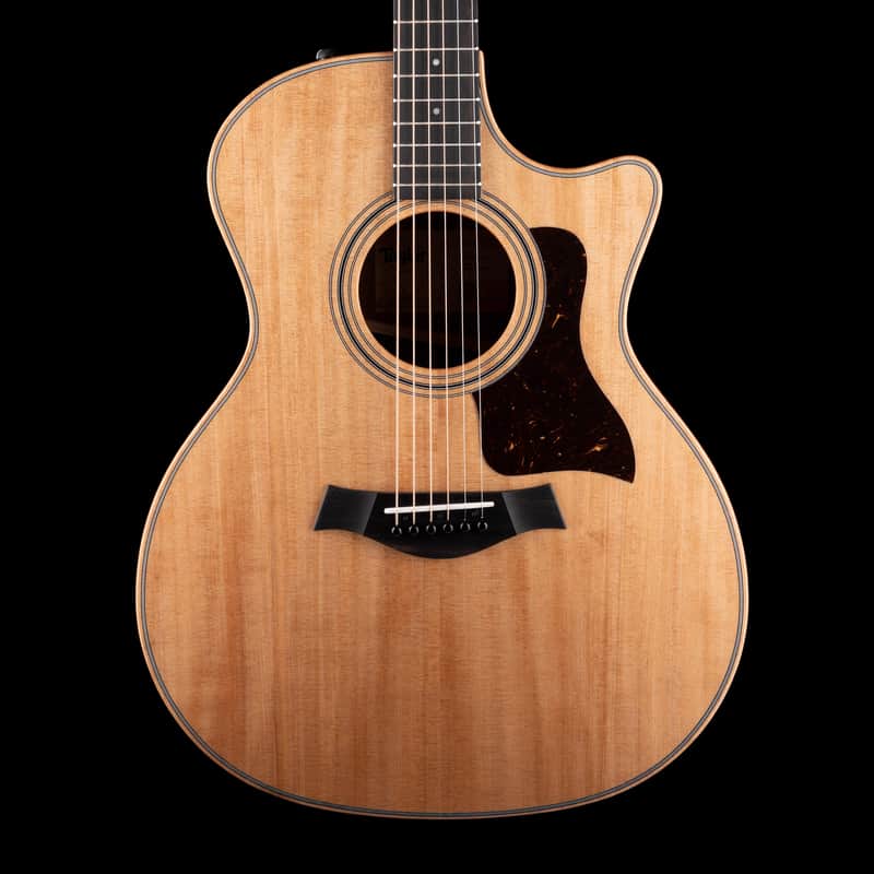 Taylor 314ce Studio Natural With Soft Case image 1