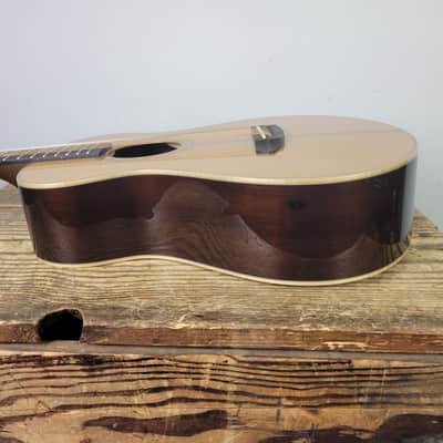 Breedlove Premier Companion E Brazilian LTD USA made With OHSC Free Shipping image 7