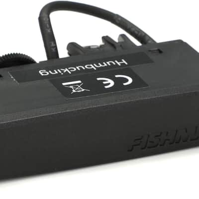 Fishman Rare Earth Magnetic Acoustic Soundhole Humbucker Pickup image 1