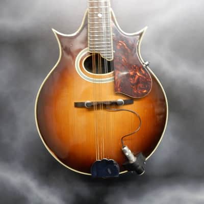 Epiphone Bg-440 Florentine Mandolin image 2