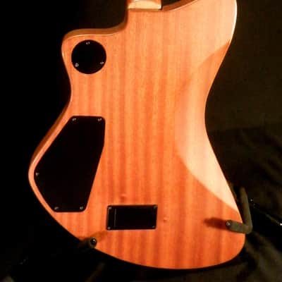 Fernandes Vertigo Deluxe image 8