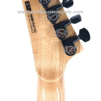 ESP ESP USA Custom Horizon II Seymour Pegasis/Sentient with Case - RR Marble Serial#: US25072 image 9