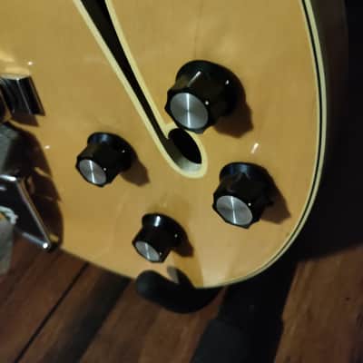 Fender Coronado Bass II 1967 - 1972 image 9