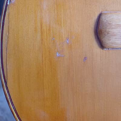 Geronimo Amezcua Gomez Requinto 1990's - gloss image 10