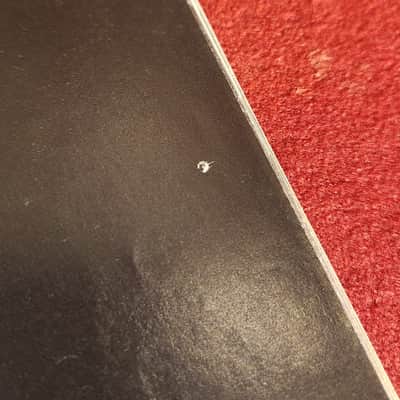 Fender Instruments Catalog 1972 With Price Sheet #1 image 7