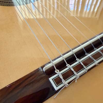 Aria A-405 Full Size Classical Guitar, With Hard Case And Free Shipping image 6