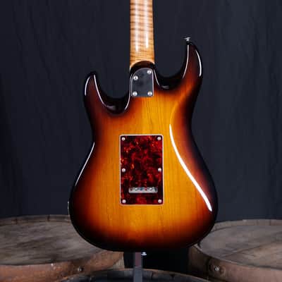 Patrick James Eggle 96 Vintage - 3 Tone Sunburst image 7