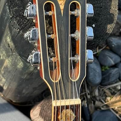 K. Yairi YW 800G 1974 - stunning Brazilian Rosewood example quite impressive & user friendly. image 7