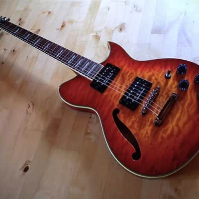 Washburn WI67-PRO image 1
