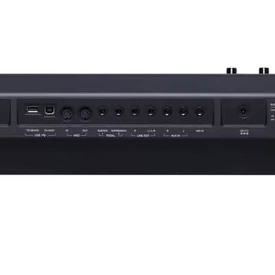 Medeli AKX10 61-Key Digital Arranger Workstation 2020 - Present - Black image 2