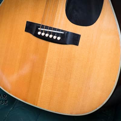 1972 Fender Japan F25 Folk-style Spruce Mahogany acoustic guitar with original case - Excellent! image 16