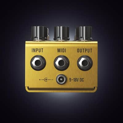Jackson Audio Golden boy transparent overdrive image 3