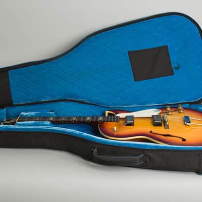 Epiphone E-452TD Sorrento Thinline Hollow Body Electric Guitar (1966), ser. #383789, Reunion Blues gig bag case. image 10