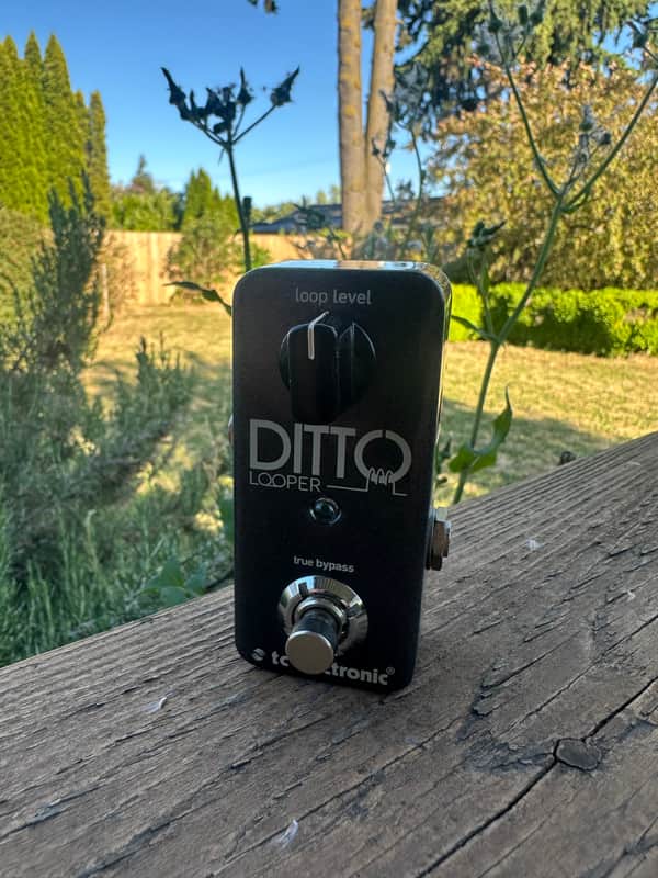 TC Electronic Ditto Looper image 1