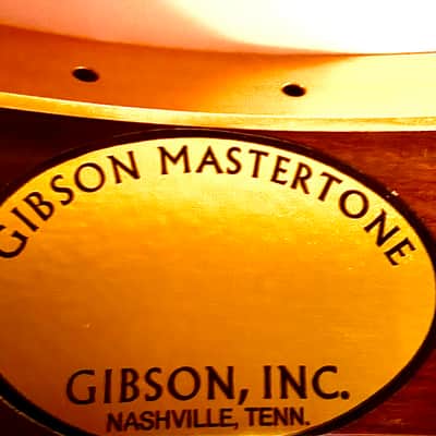 Gibson RB6 Gold Sparkle With Custom Bella Voce Engravings 5 String Banjo 1999 image 8