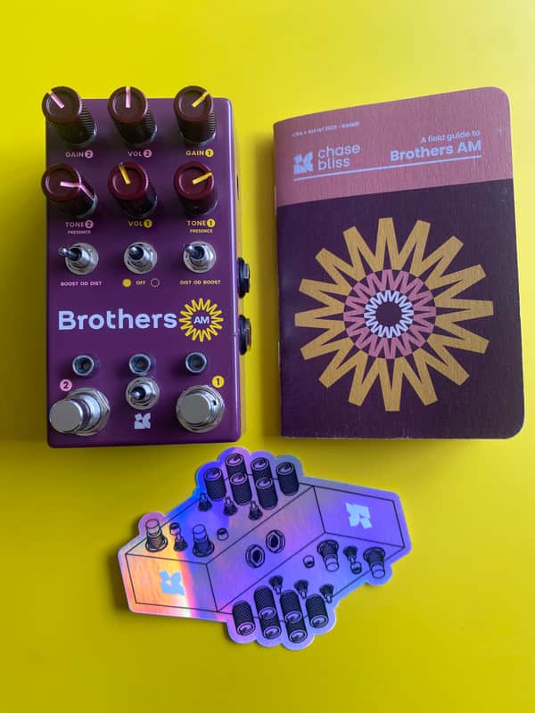 Chase Bliss Audio Brothers AM