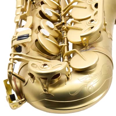 Antigua Winds Model AS4348CU Alto Saxophone in Unlacquered Brass SN UAS110015 image 19