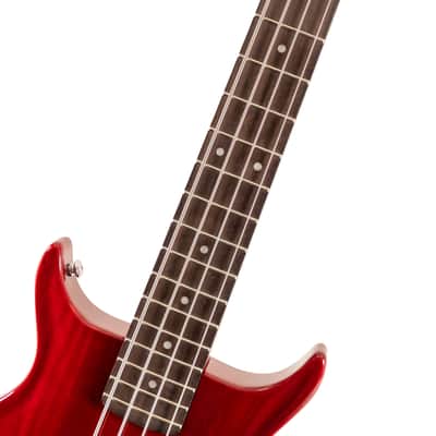 Washburn SB4R Wing Series Scavenger Ashwood Body 4-String Electric Bass Guitar image 7