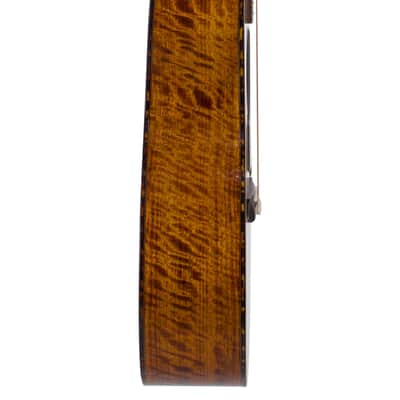 Bromo BAN 2CE Solid Top Grand Auditorium Cutaway Guitar image 6